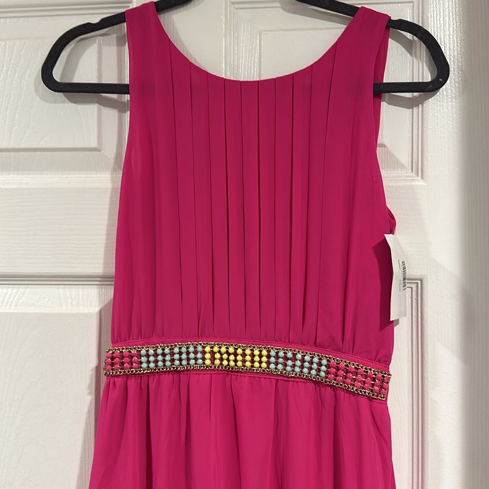 Brand new the clothing company / pink lily maxi Dress